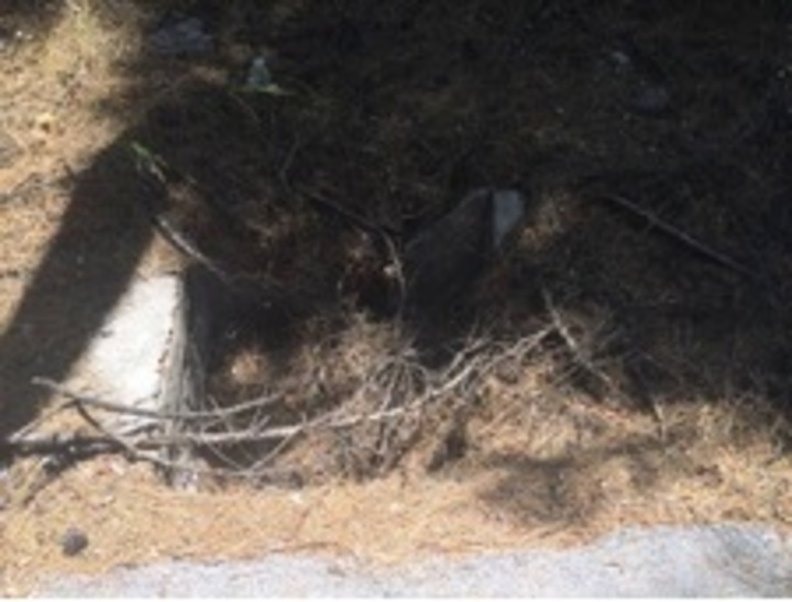 Καθαρισμός φρεατίου στην περιοχή Προφήτη Ηλία