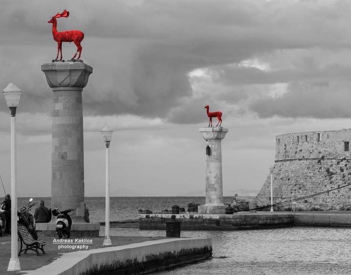 Με το σχόλιο «η δική μου διαμαρτυρία ώστε να χυθεί αίμα ούτε από ένα ελάφι»,  ο συμπολίτης μας Ανδρέας Κακλιός έδωσε στα ελαφάκια-σύμβολο της Ρόδου,  το κόκκινο χρώμα του αίματος...