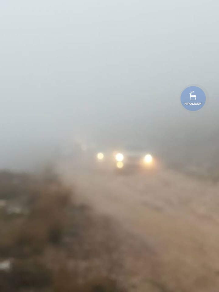 Φωτογραφία Σωτήρης Παπαϊωάννου