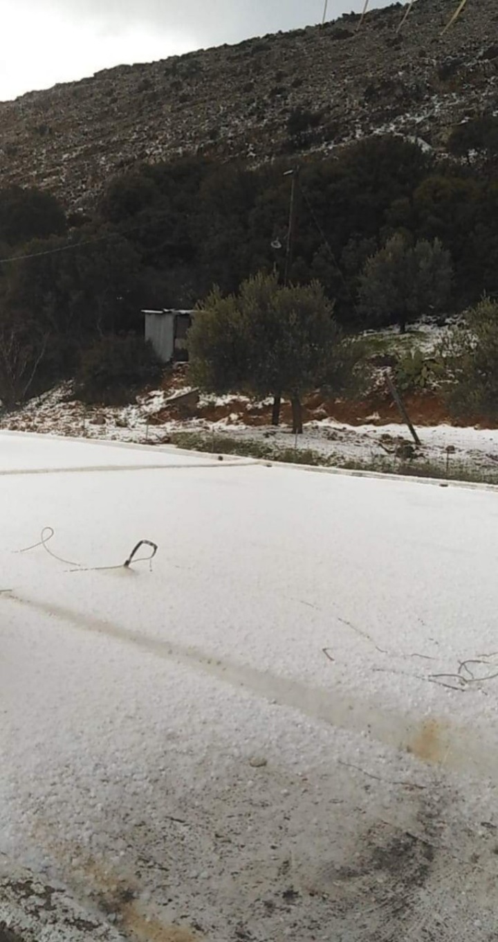 Ευαγγελία Φωτείνης