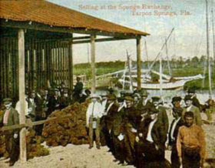 Το εμπόριο σφουγγαριών στο Τάρμπον Σπρίνγκς...