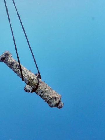 Διεθνές συνέδριο για το αρχαιολογικό έργο στα νησιά