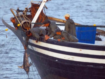 Παρέμβαση του ΣΥΡΙΖΑ για την παράνομη αλιεία