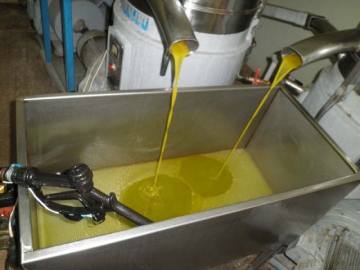 Διάρρηξη στο ελαιοτριβείο Σορωνής