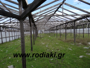 Και σε  εκκλησίες της Ρόδου μοίραζε κατά χιλιάδες τα ευρώ ο Κώστας Τζεβελέκος!