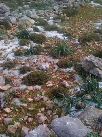 Χιόνισε στη Χάλκη