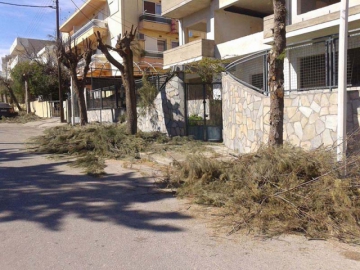 Στα... αζήτητα κλαδιά επί τριήμερο