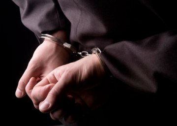 Ελεύθερος ο  θερμόαιμος Νορβηγός