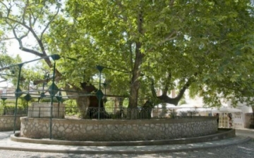 Πρόσκληση συμμετοχής στο εκπαιδευτικό  πρόγραμμα “Tο άρωμα  της Νερατζιάς  στου Πλατάνου τον ίσκιο”