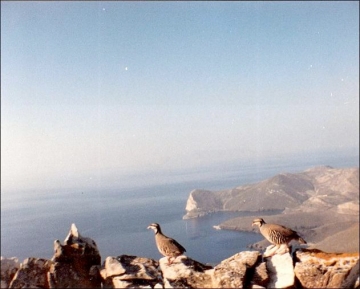 Το εκτροφείο της Λέρου