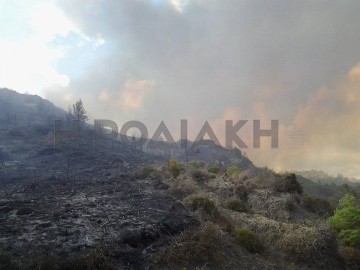 Φωτιά ξέσπασε ανάμεσα στο Φράγμα Απολακκιάς και την Ίστριο (φωτορεπορτάζ)