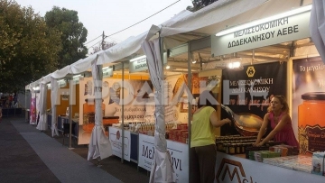 Το πρόγραμμα εκδηλώσεων της έκθεσης Κρεμαστής
