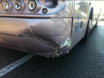 Σύγκρουση γουρούνας με τουριστικό λεωφορείο!