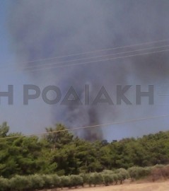 Εμπρηστές ξαναχτύπησαν στον Άγιο Σουλά