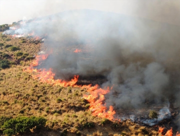  Κάηκαν 150 στρέμματα από την πυρκαγιά στο Παρθένι της Λέρου!