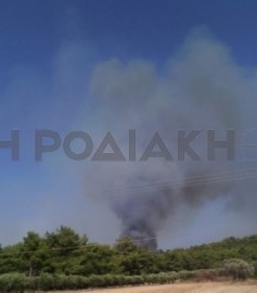 Υπάρχουν κακόβουλοι που  θέλουν να κάνουν ζημιά στο νησί