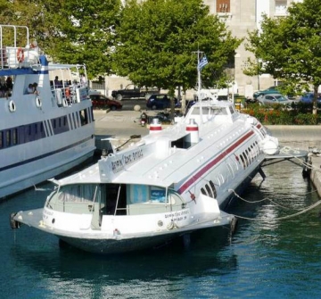 Τα πεπραγμένα του δελφινιού «Ζωής και Ελπίδας»