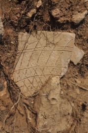 Η αρχαιολογική ανασκαφή στην Κάρπαθο αποκάλυψε κτίριο της Μινωικής περιόδου!