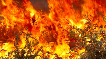 Φωτιά ξέσπασε πριν από λίγο στην Παστίδα