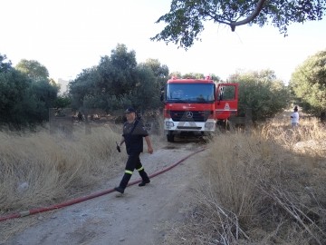 Φωτιά σε αγρόκτημα απέναντι από το Αρχαίο Στάδιο της Ρόδου