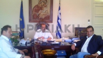 Ομαδικές στειρώσεις σε αδέσποτα της Ρόδου