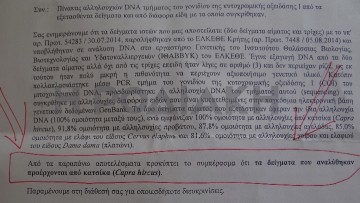 Σε κατσίκι ανήκαν τα δείγματα  που βρέθηκαν στο σφαγείο Έμπωνας