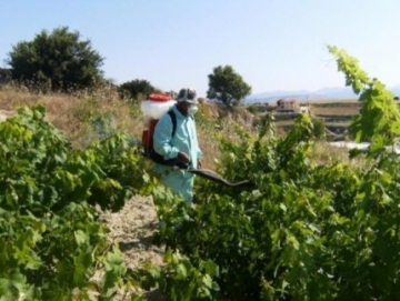 Τα φυτοφάρμακα και οι λαϊκές αγορές