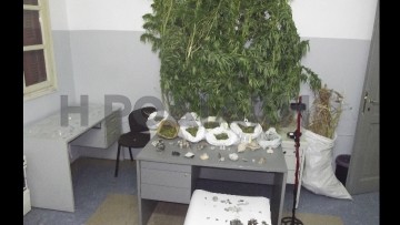 Προφυλακίστηκε ο 52χρονος για τα αρχαία νομίσματα και τα χασισόδεντρα