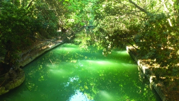 Εκδήλωση με την ομάδα Dirty Dishes στο Ροδίνι