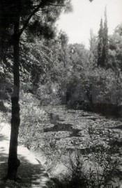 Ροδίνι και η χρυσή  εποχή, τη δεκαετία του 1950, με  Μαρούδα, Μακούλη και Νάνα Μούσχουρη