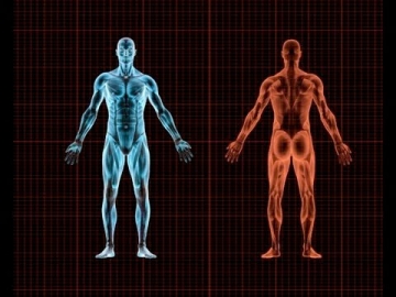 Δεδομένα για το σώμα μας που αγνοούμε