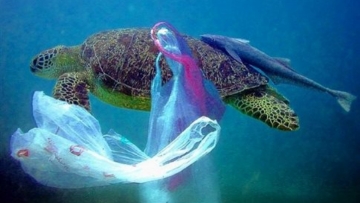 Ενάμισι εκατομμύριο θύματα το χρόνο από τα πλαστικά στους ωκεανούς
