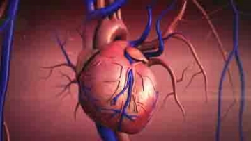 Η μεταμόσχευση καρδιάς σε νέους δρόμους