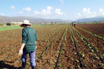 Σχέδιο δράσης για στήριξη ανέργων και αγροτών στο νομό