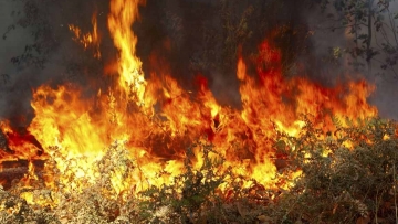 Συναγερμός στην Πυροσβεστική από δύο περιστατικά πυρκαγιάς στην πόλη της Ρόδου