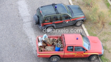 Τα ευρήματα του Δασαρχείου  στην υπόθεση με τις ξόβεργες στη Ρόδο