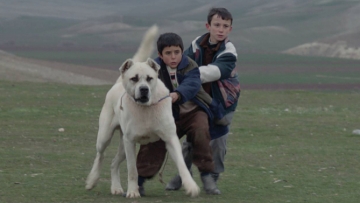 Οι «μικροί» λογοτέχνες μας αποτυπώνουν τις σκέψεις τους