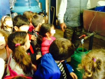 Μαθητικές επισκέψεις στο ελαιοτριβείο Καλυθιών