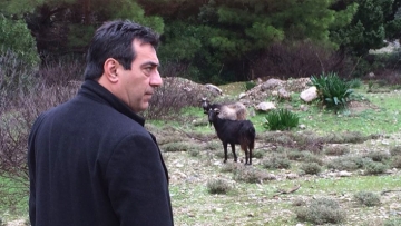 Πήρε τα βουνά