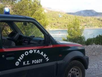 Στο... δόκανο της θηροφυλακής πιάστηκε τα ξημερώματα 56χρονος Λαερμενός