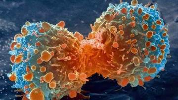 Μια 8χρονη πρόσφερε ένα «όπλο» για τη μάχη κατά του καρκίνου