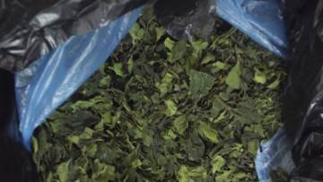 Προφυλακίστηκε και ο δεύτερος για την υπόθεση με το Αιθιοπιακό τσάι