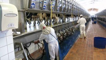 Φτιάχνει εργοστάσια  στη Ρόδο σε καιρό κρίσης!