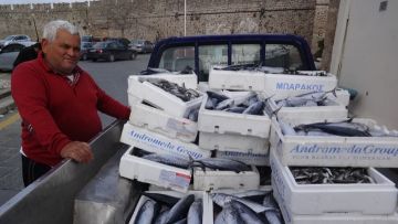 400 κιλά ψάρια μοιράστηκαν στον Άγιο Παντελεήμονα της Ρόδου