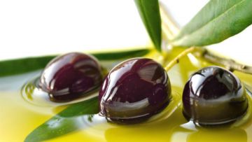 Η Περιφέρεια Νοτίου Αιγαίου συμμετέχει στο 6ο Φεστιβάλ Ελαιολάδου και Ελιάς