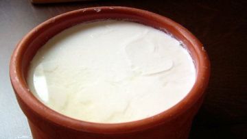 Φάτε γιαούρτι για το αλλεργικό συνάχι
