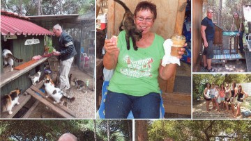 Ρόδος: Κινδυνεύει το γατόσπιτο στην Καλλιθέα