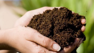 Βιολογικός λαχανόκηπος δημιουργήθηκε στο Γυμνάσιο Κρεμαστής