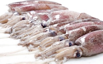 Η διατροφική αξία  του καλαμαριού