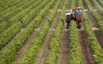 Ημερίδες στη Ρόδο για την ένταξη των αγροτών στην αγορά εργασίας